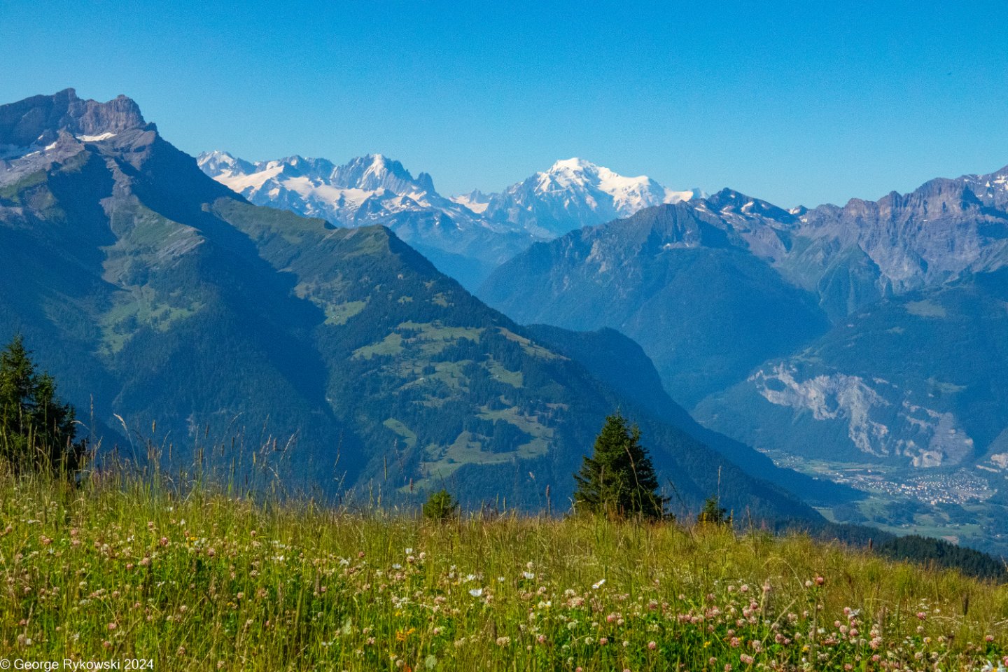 SwissVacation2024-5200.jpg