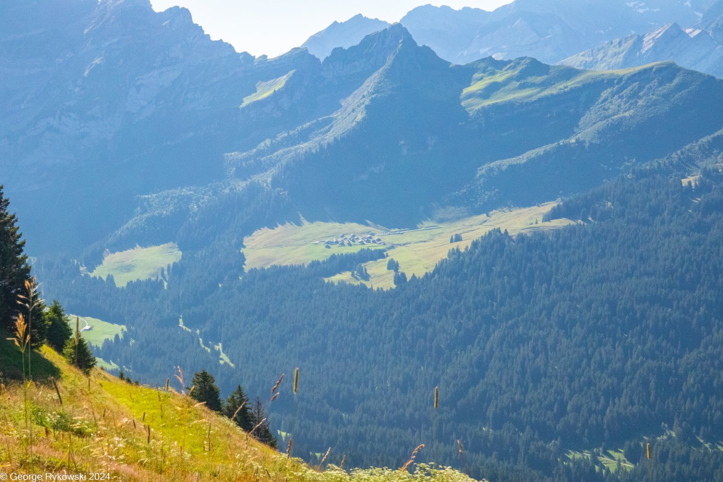 SwissVacation2024-5201.jpg