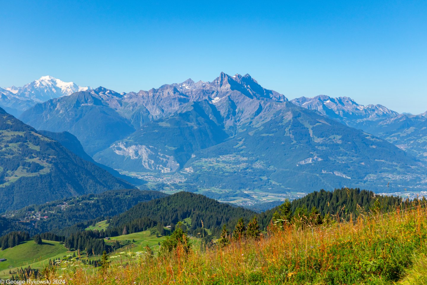 SwissVacation2024-5205.jpg