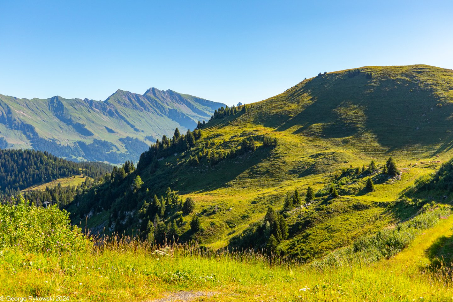 SwissVacation2024-5206.jpg