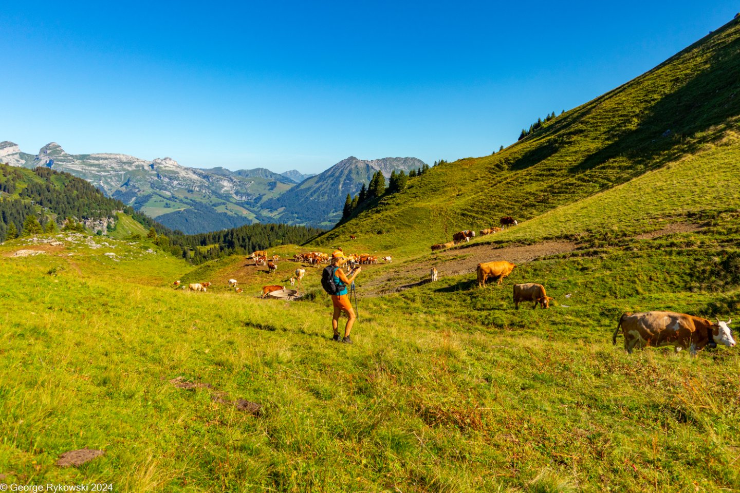 SwissVacation2024-5208.jpg