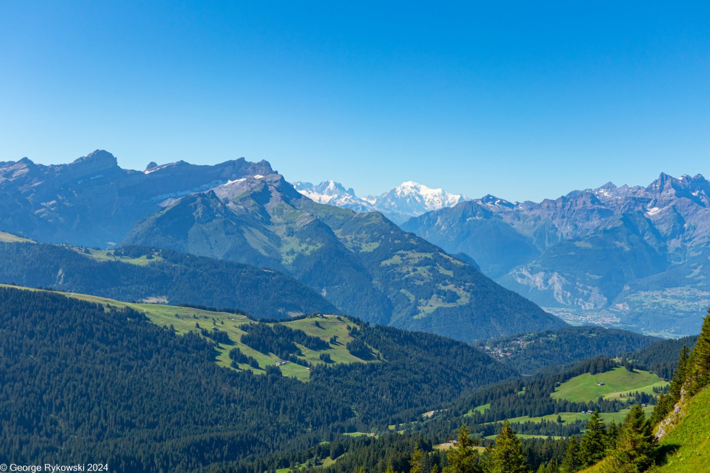 SwissVacation2024-5216.jpg