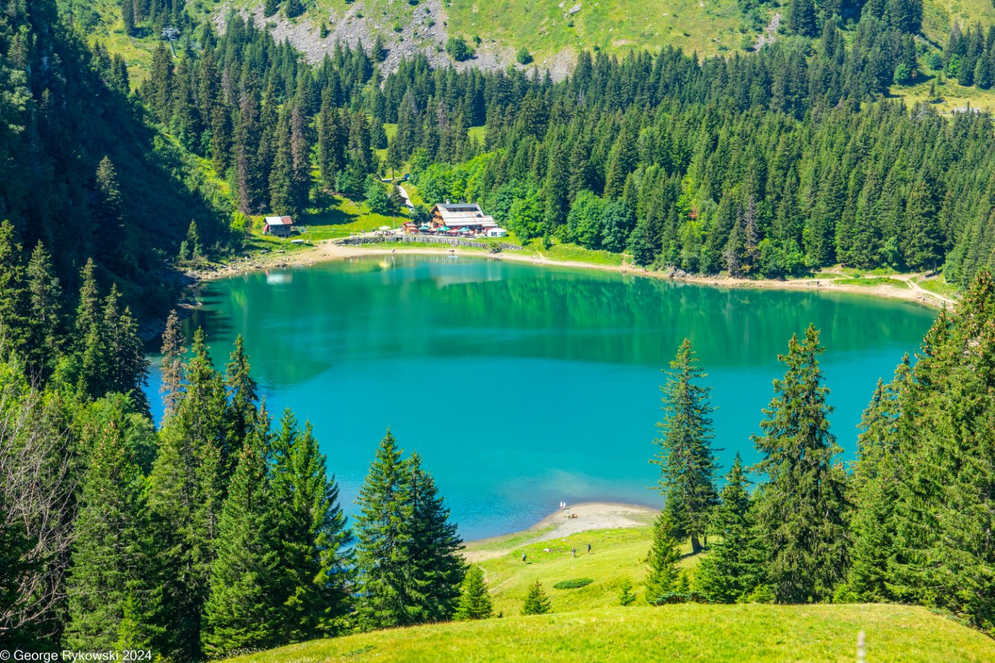SwissVacation2024-5223.jpg