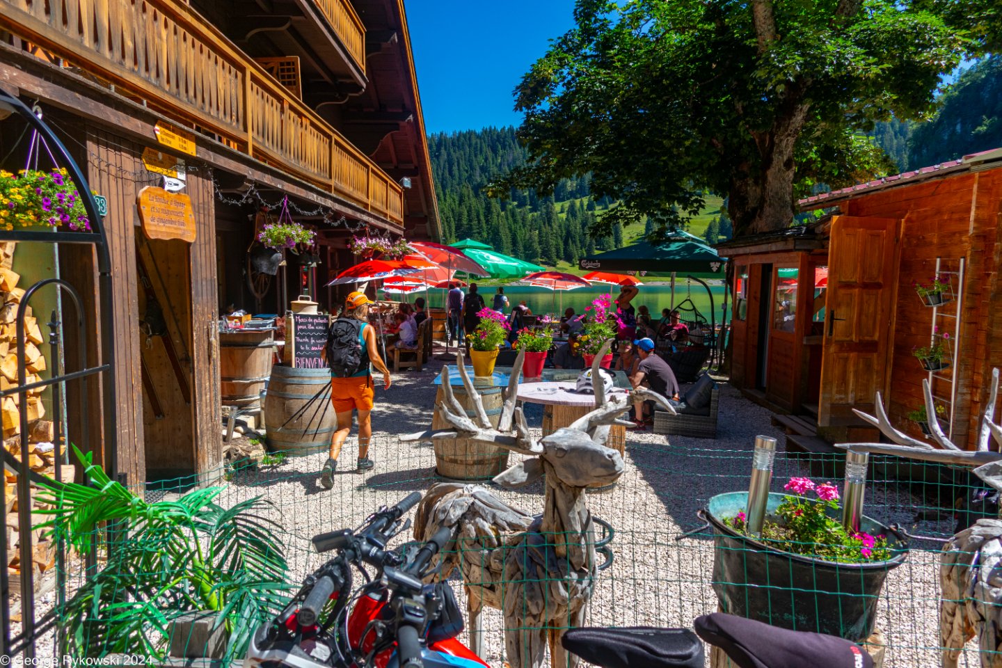 SwissVacation2024-5227.jpg