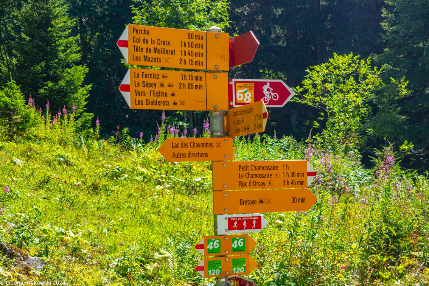 SwissVacation2024-5228.jpg