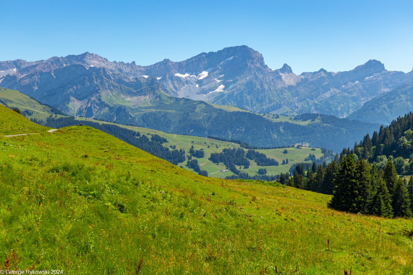 SwissVacation2024-5230.jpg