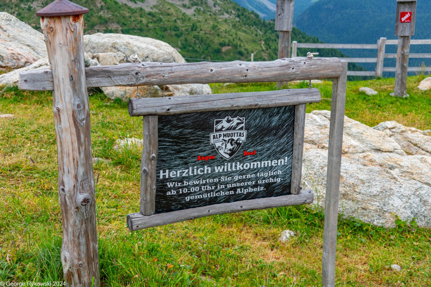 SwissVacation2024-4874.jpg
