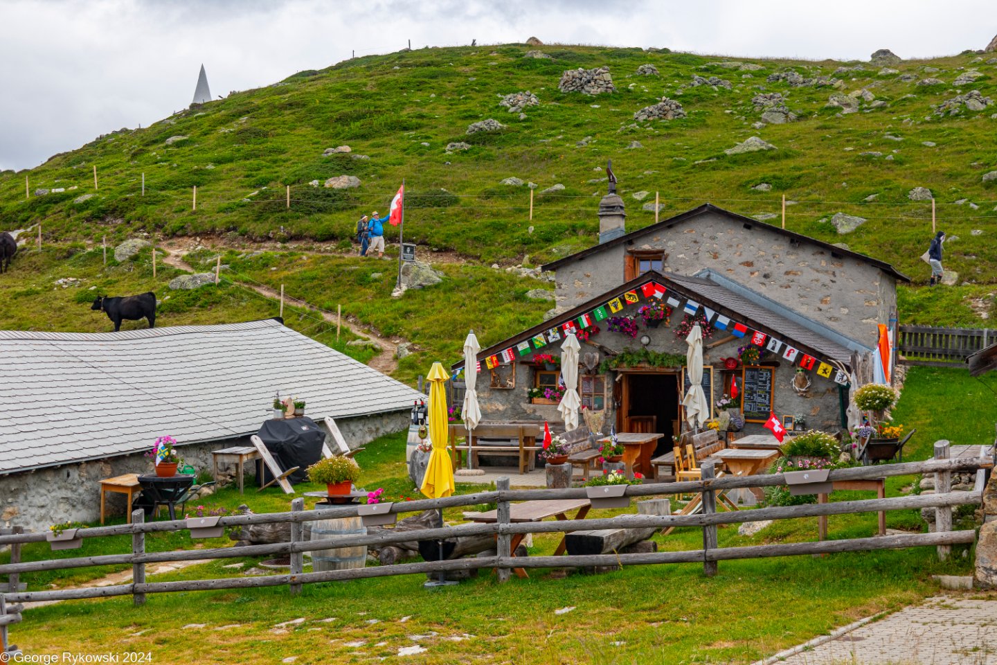 SwissVacation2024-4876.jpg