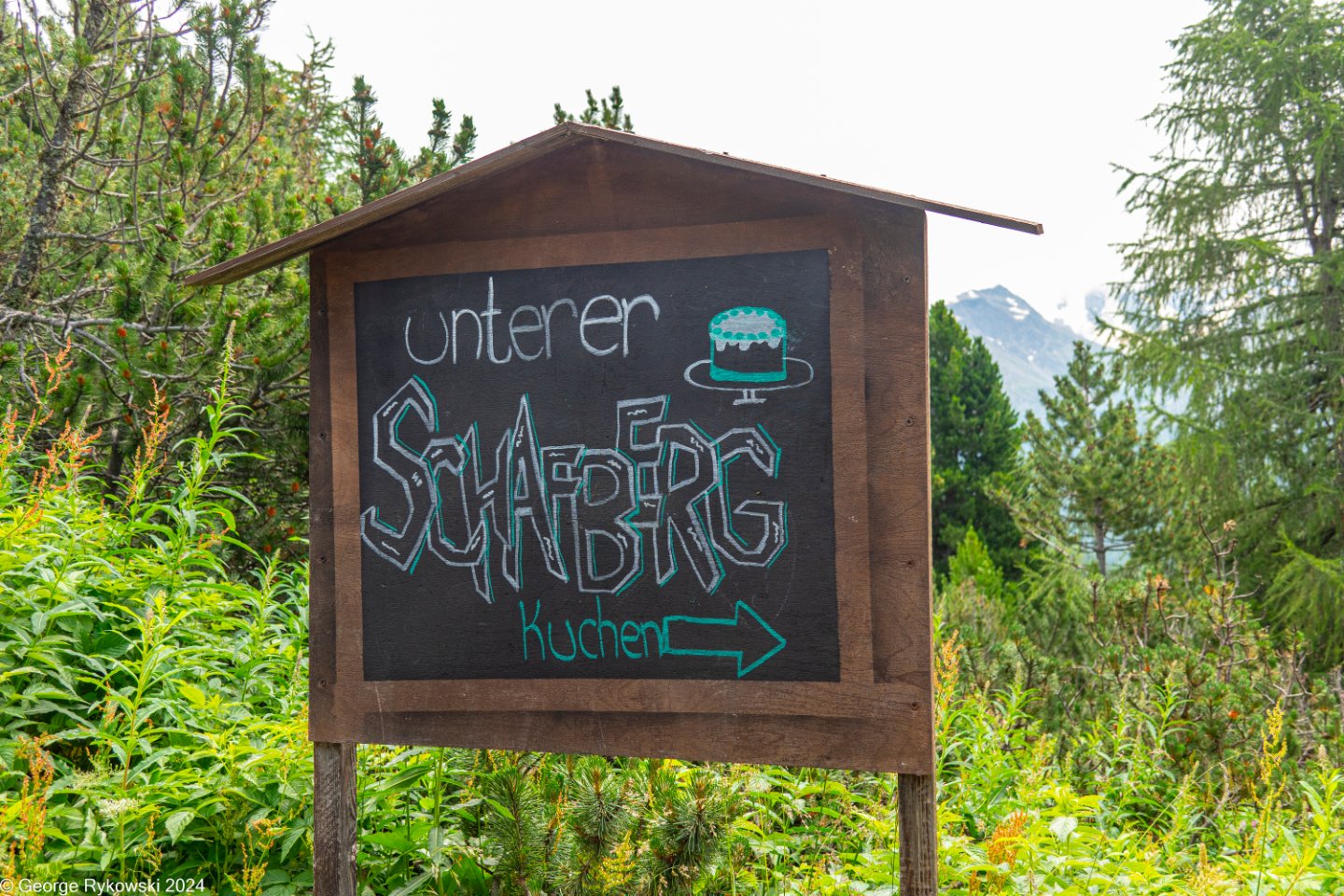 SwissVacation2024-4897.jpg