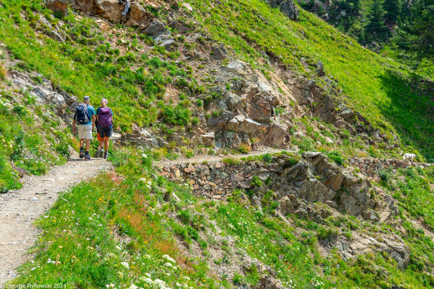 SwissVacation2024-4904.jpg