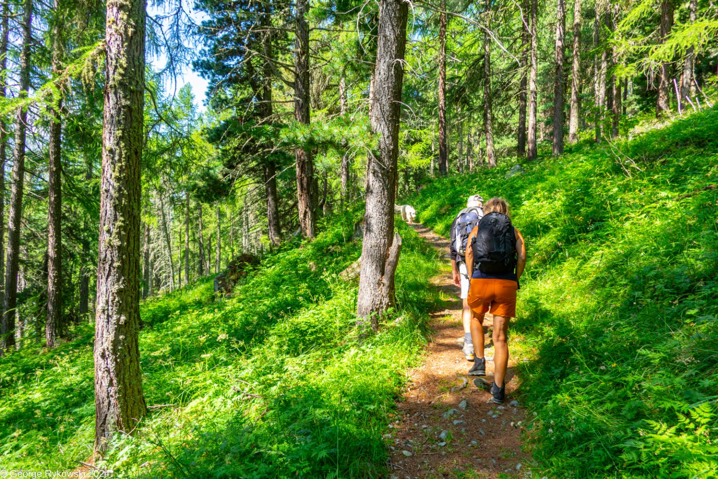 SwissVacation2024-4927.jpg