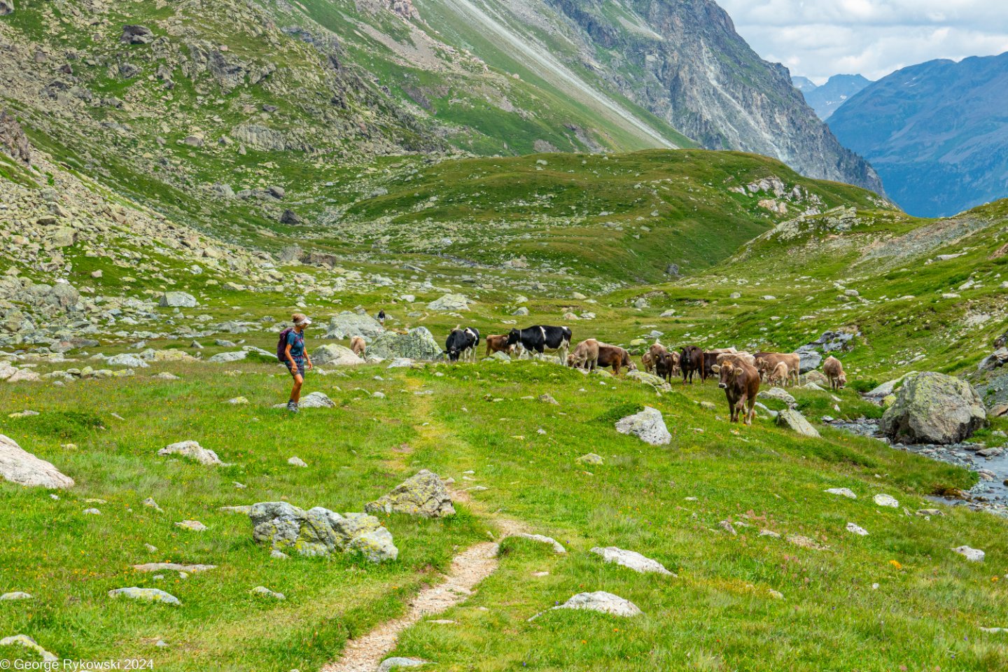 SwissVacation2024-4955.jpg
