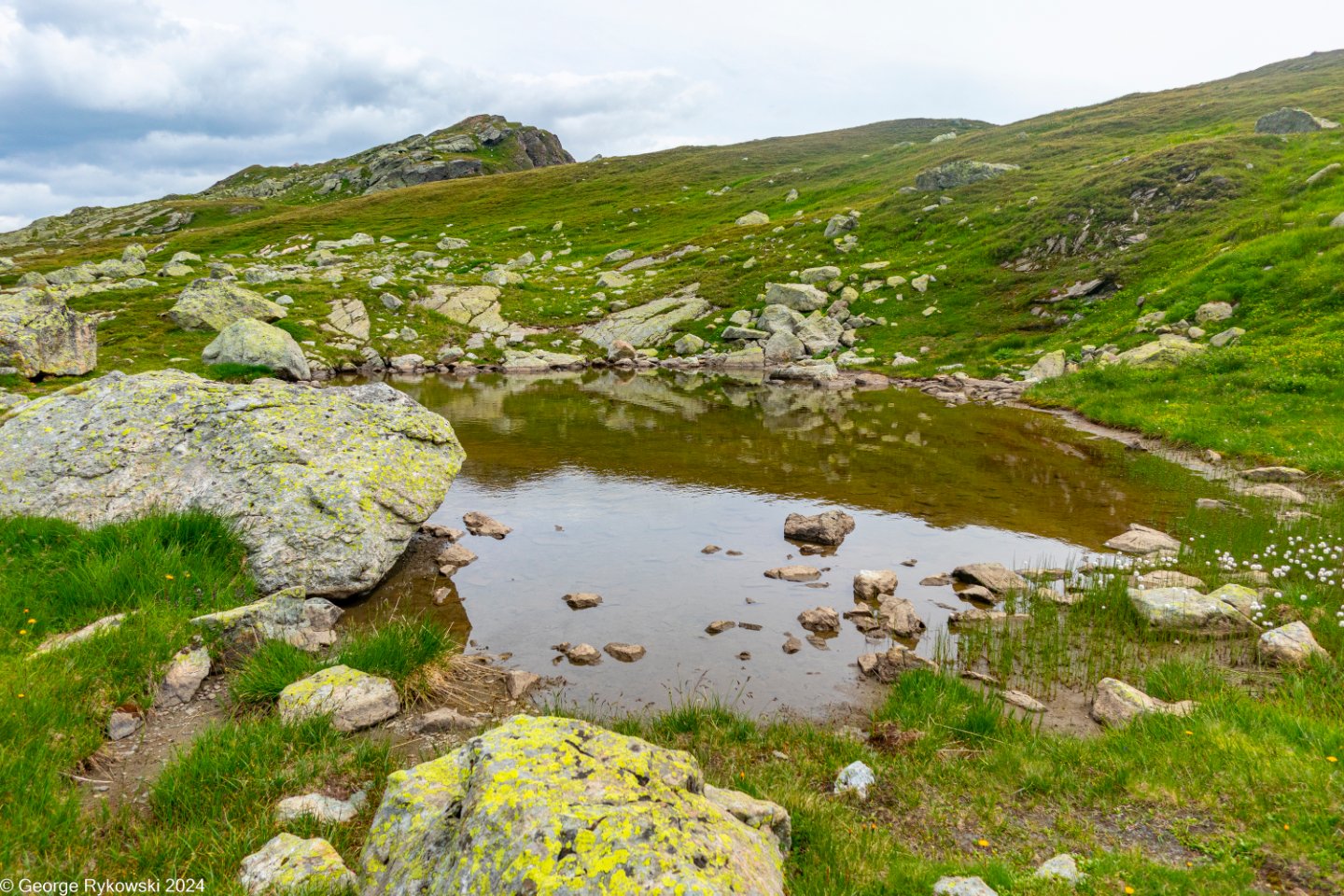 SwissVacation2024-4960.jpg