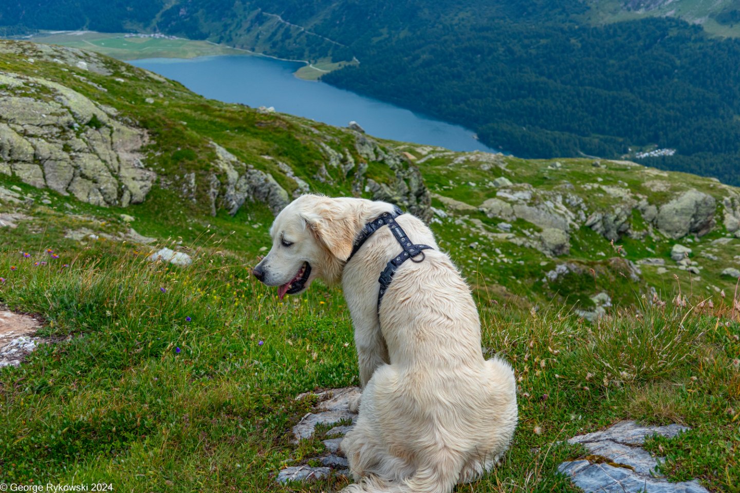 SwissVacation2024-4964.jpg