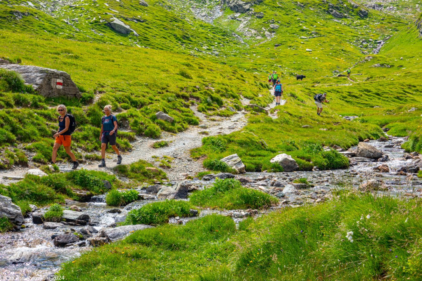 SwissVacation2024-4984.jpg
