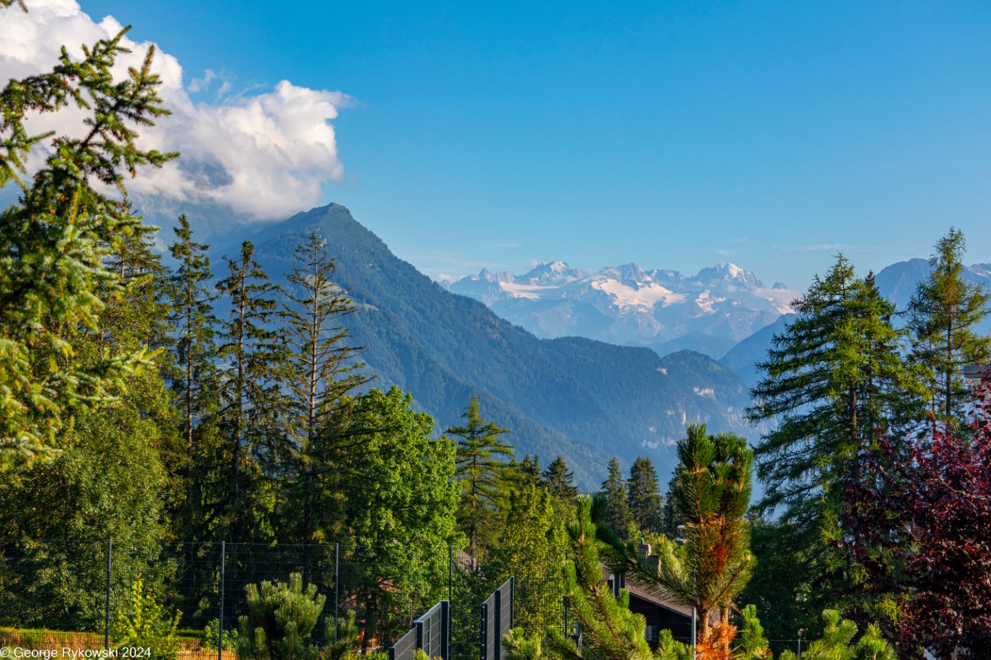 SwissVacation2024-5122.jpg