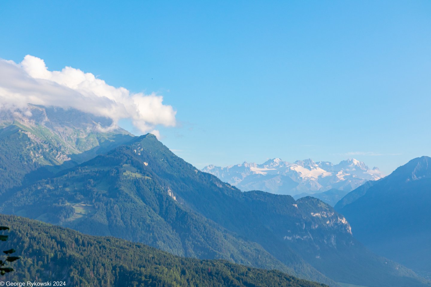 SwissVacation2024-5125.jpg