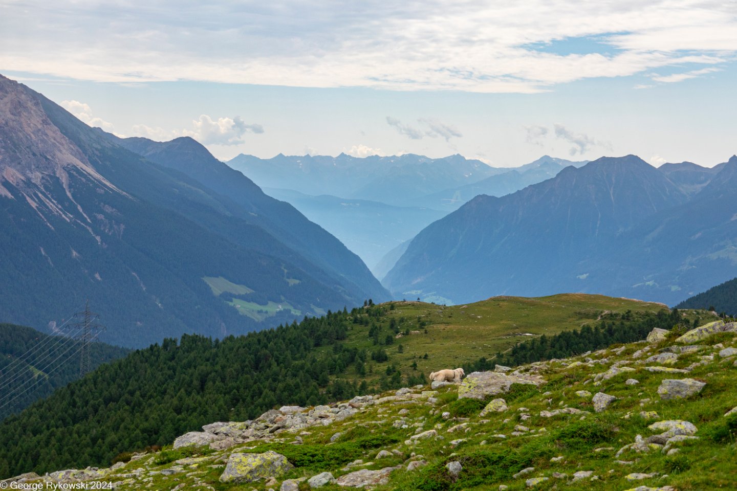 SwissVacation2024-4760.jpg