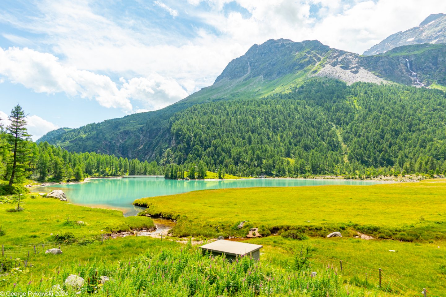 SwissVacation2024-4785.jpg