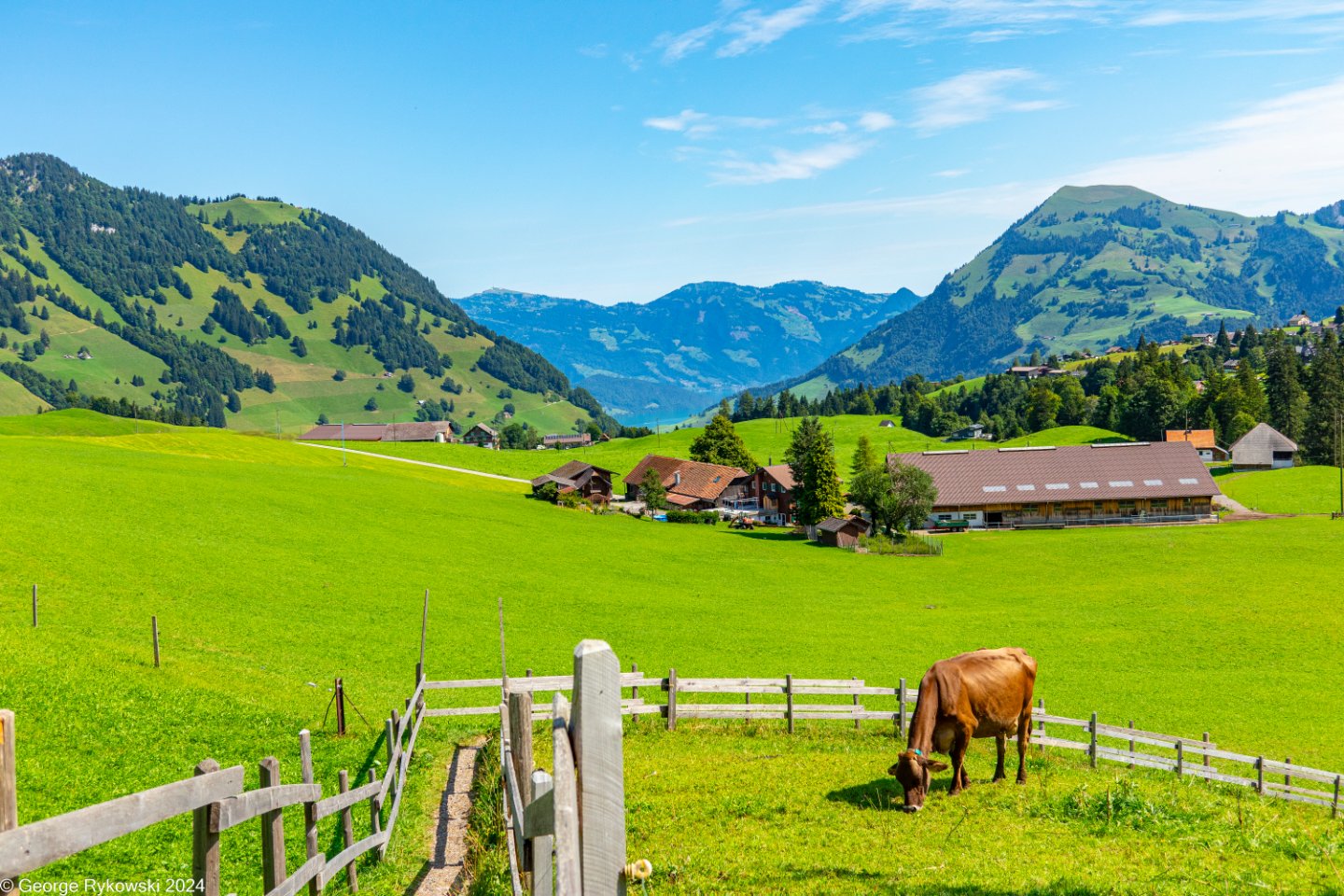 SwissVacation2024-5350.jpg