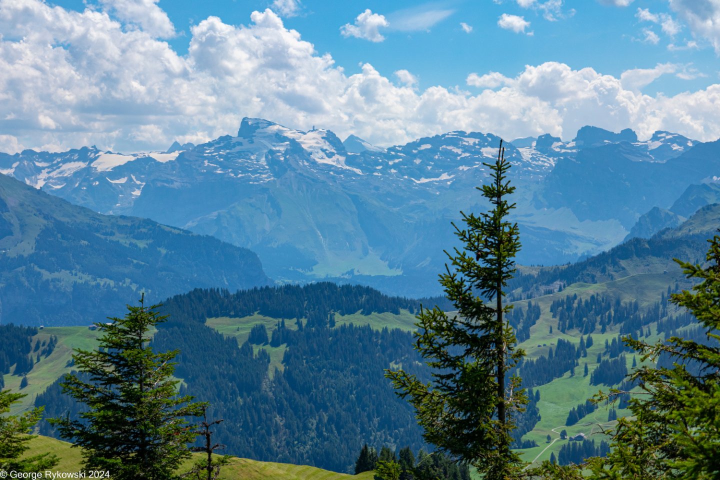 SwissVacation2024-5361.jpg