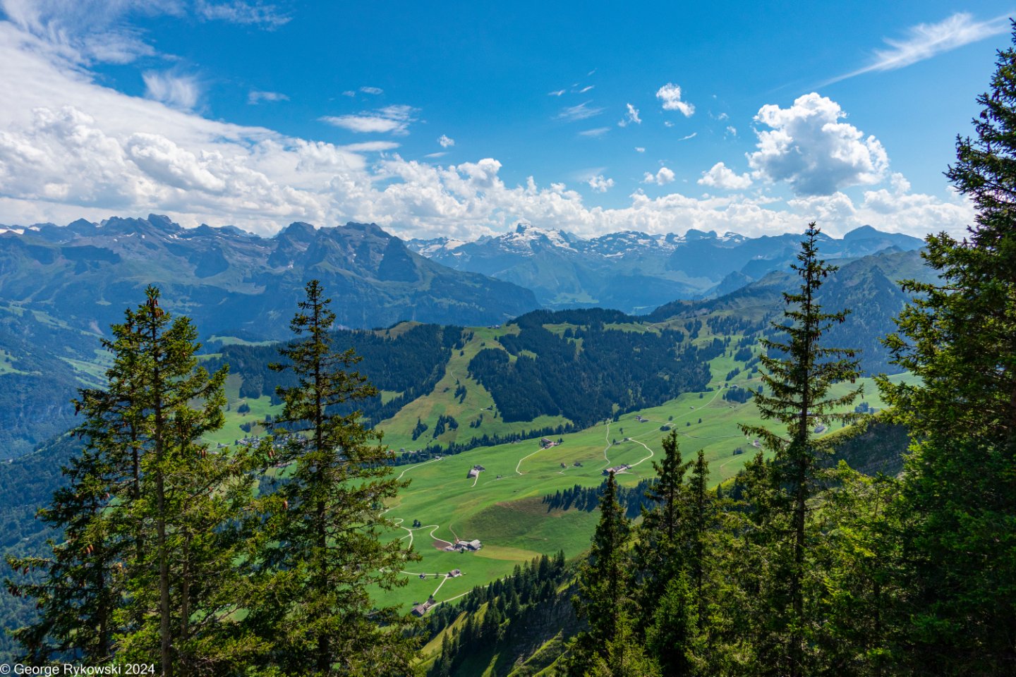 SwissVacation2024-5365.jpg
