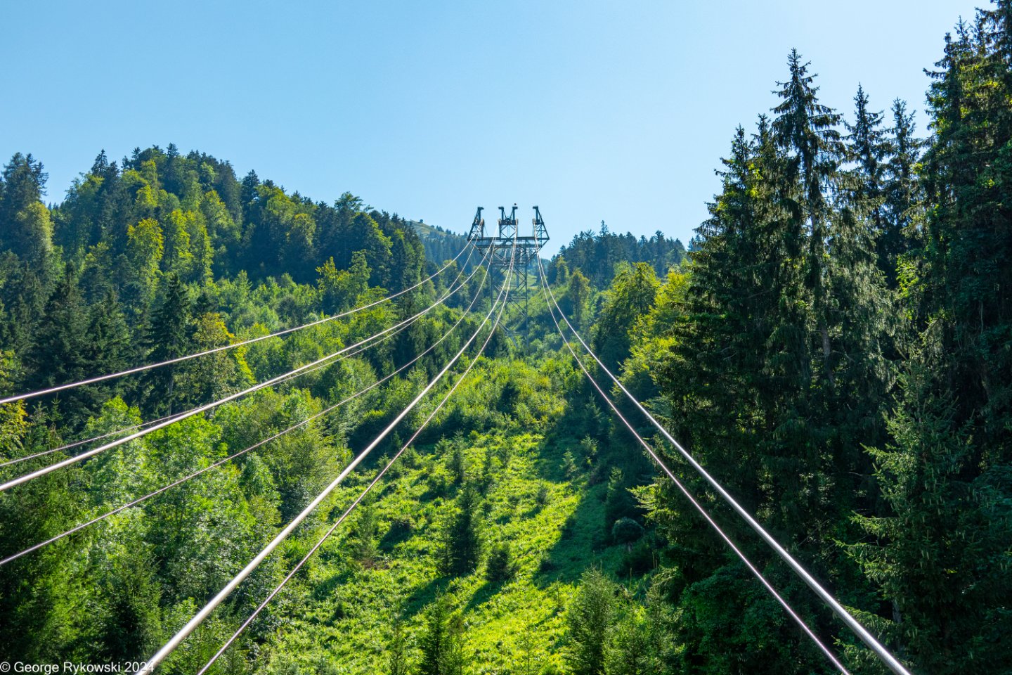 SwissVacation2024-5379.jpg