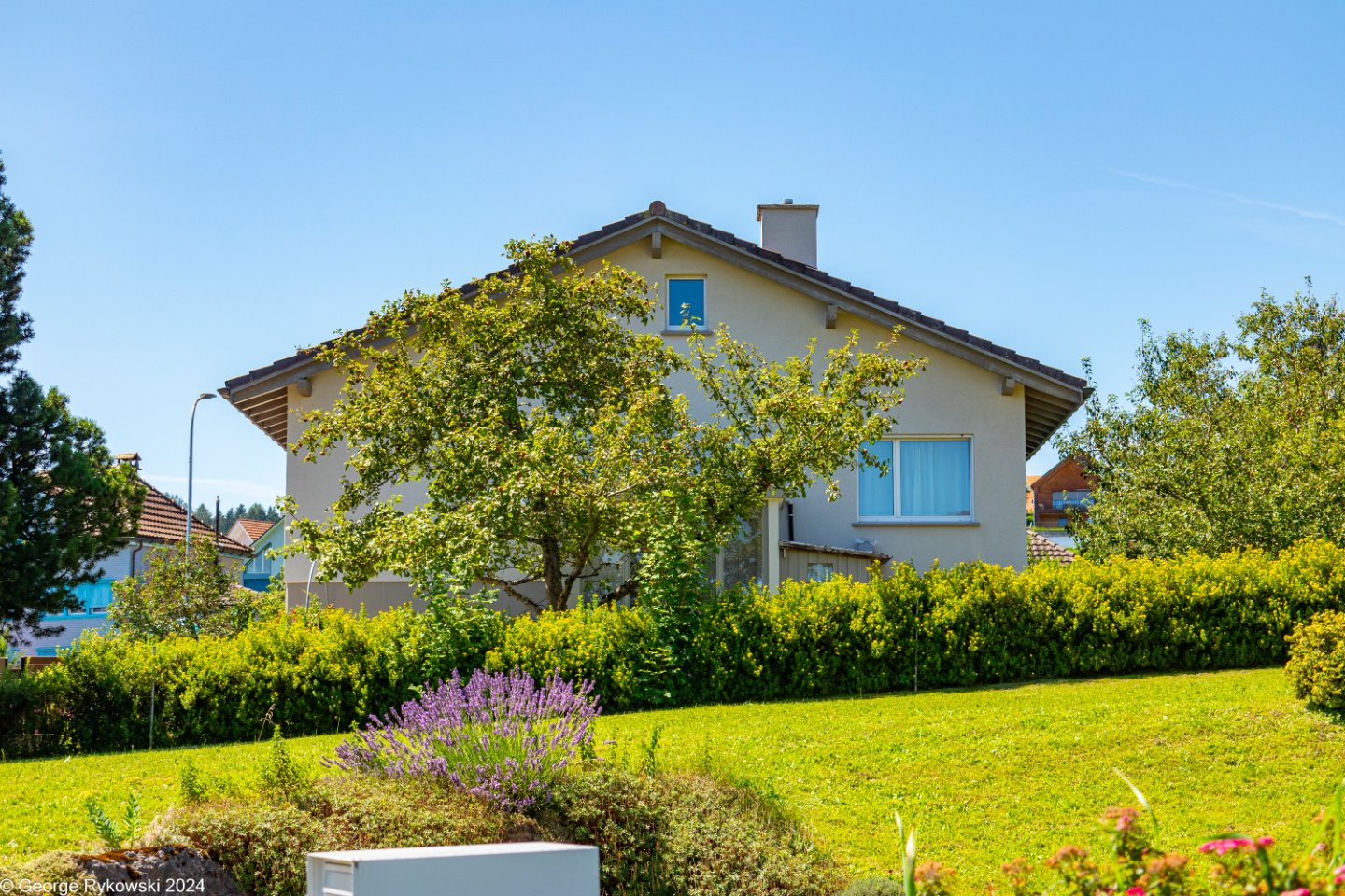 SwissVacation2024-5064.jpg