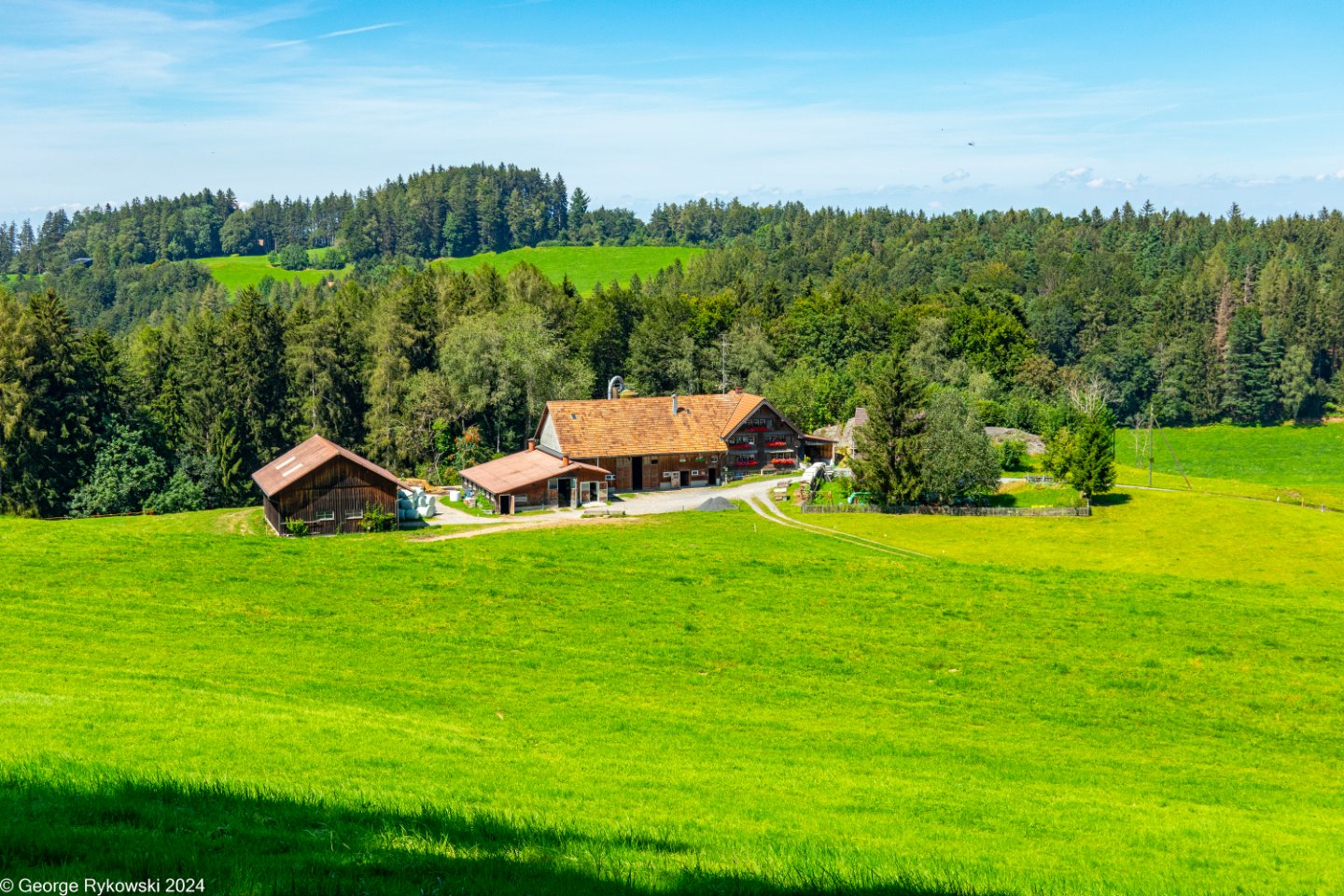 SwissVacation2024-5066.jpg