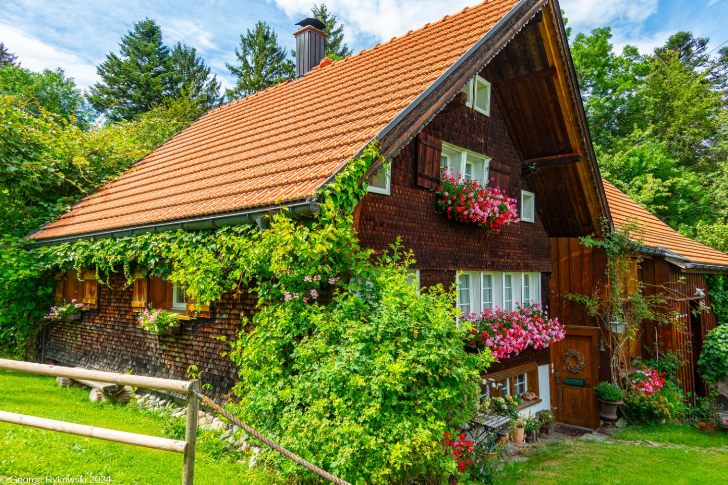 SwissVacation2024-5089.jpg