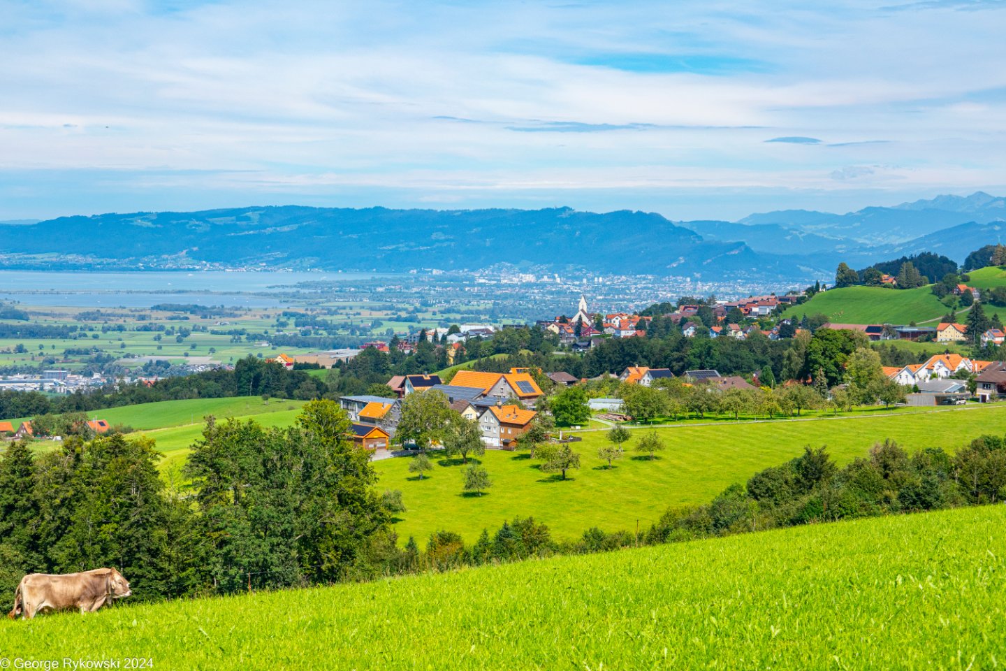 SwissVacation2024-5103.jpg