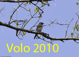 Volo 2010 Photo Slide Show